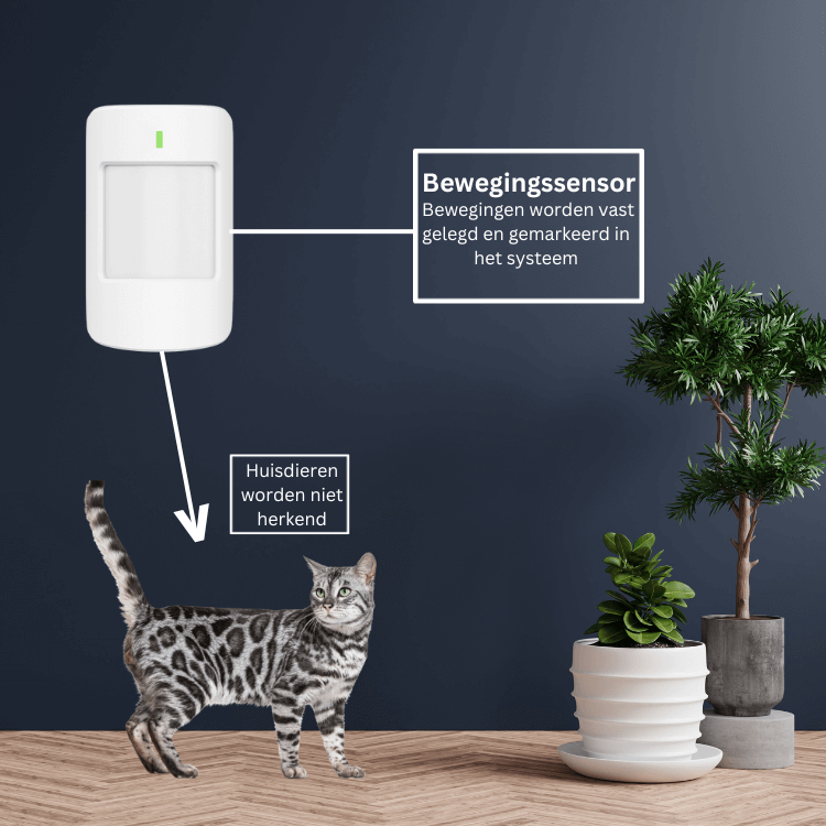 Alarmsysteem S Pro - WiFi & 4G